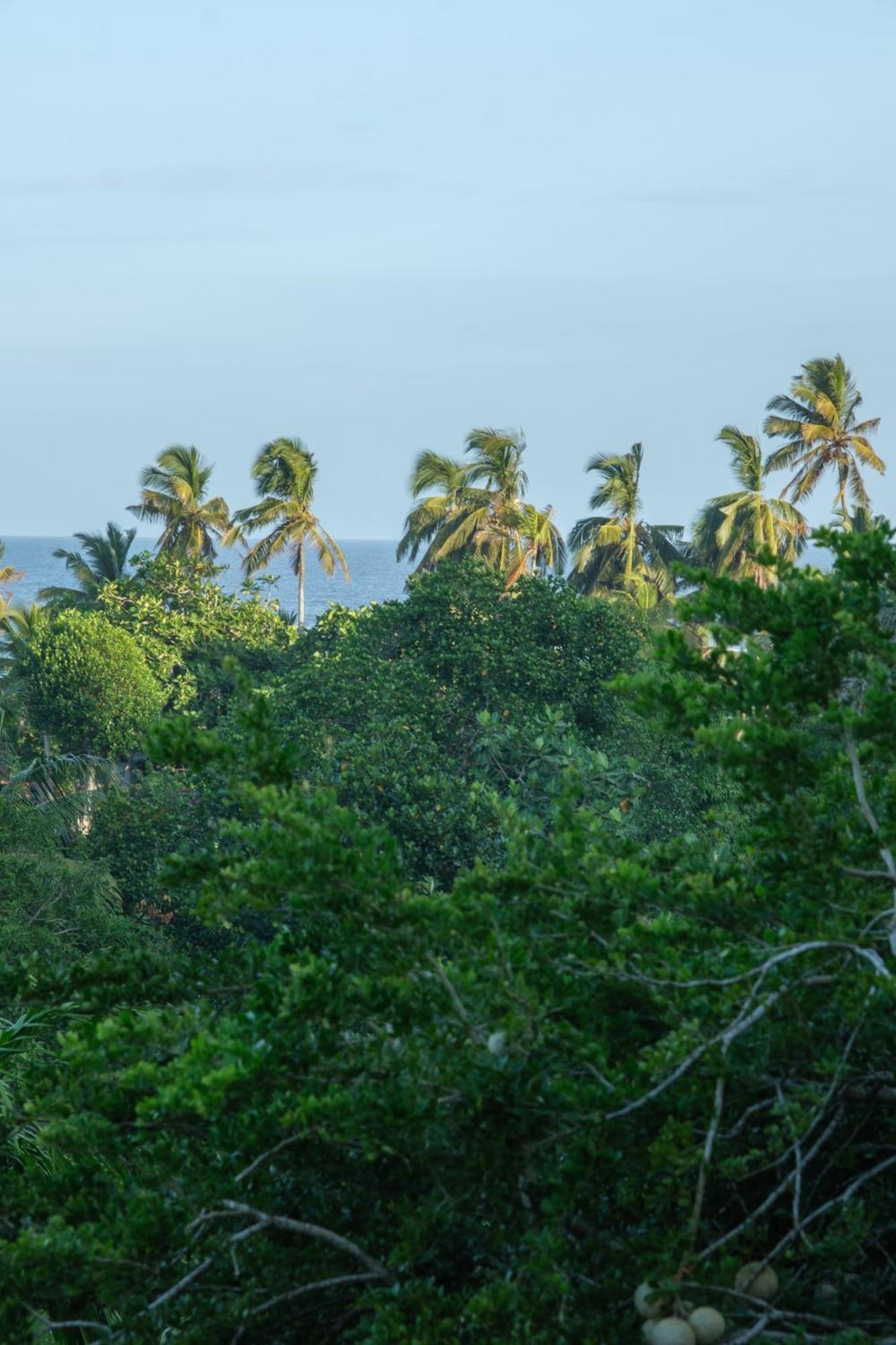 The Jungle View Hotel Мириса Екстериор снимка